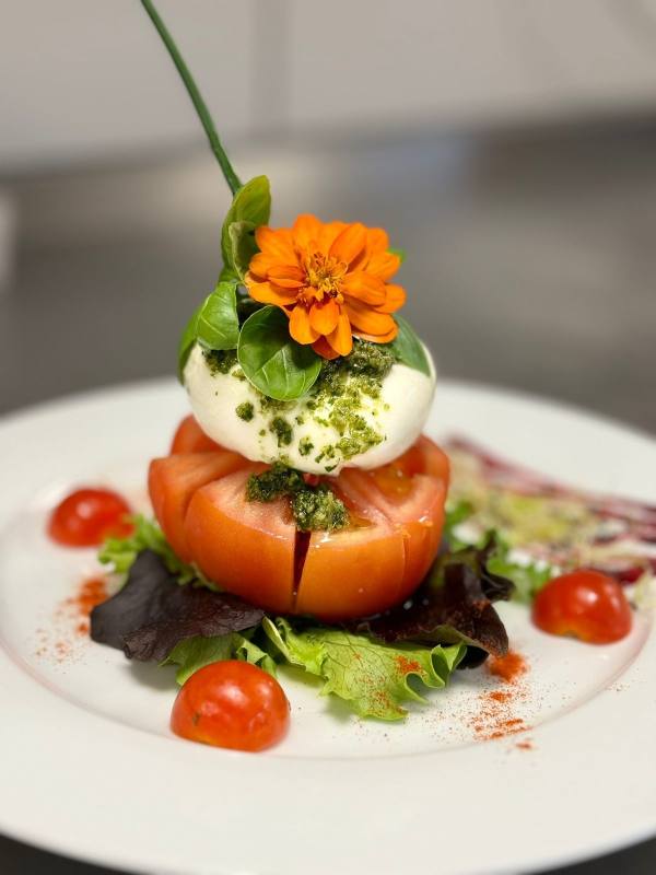 Burrata mit Tomate und Pesto